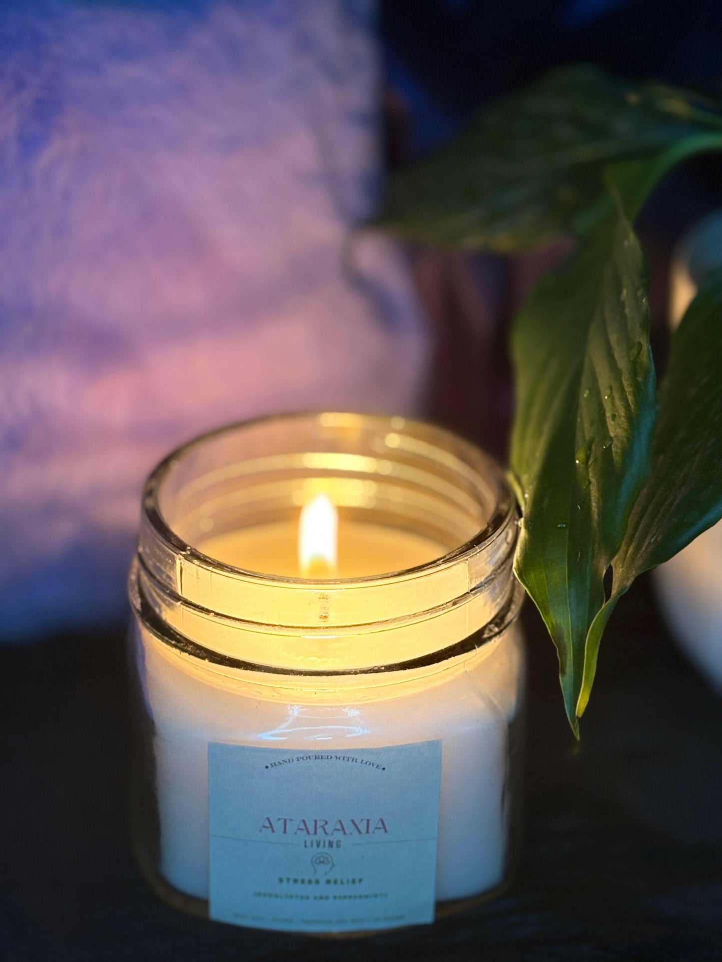 Calming candle lit with peaceful natural light