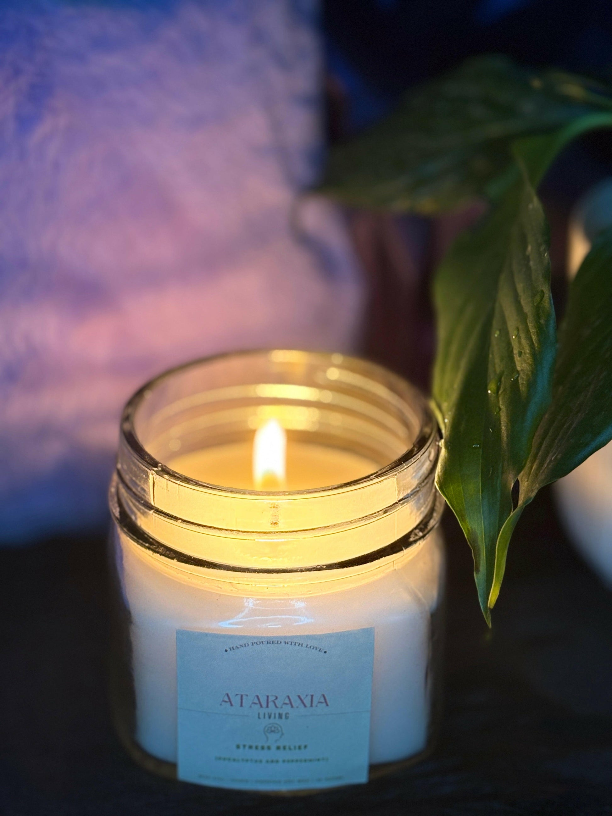 Calming candle lit with peaceful natural light